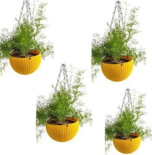 Image of Funtastik Hanging pots Po4