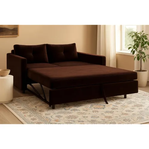 Image of Furny Soria 2-Seater Sofa Cum Bed (Brown)