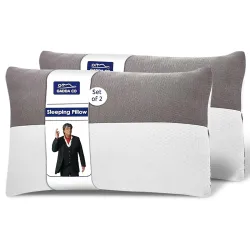 GADDA CO Height Adjustable Hollow Fiber Pillows (Set of 2)