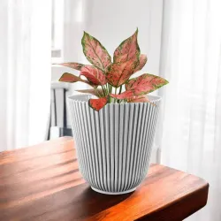 Gardens Need 4Inch Flower Plastic Pot