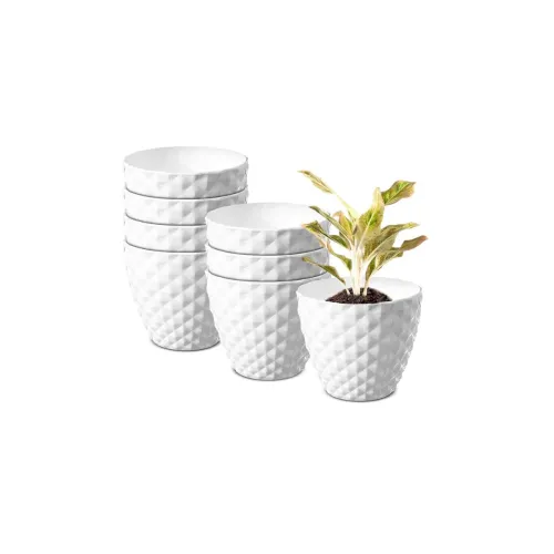 Image of GARDENS NEED 6 Inch (15.24 cm) Kohinoor Flower Plastic Pot | Round Shape, White, Set of 8 | Perfect for Home, Office, Ga