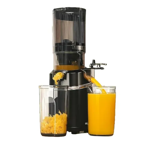 Image of Glen Hopper 250W Cold Press Juicer Machine