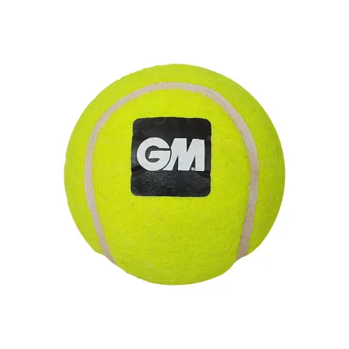 Image of GM Light Tennis Cricket Ball
