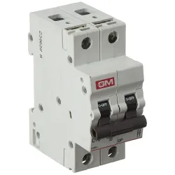 GM MCB 10A DOUBLE POLE C TYPE