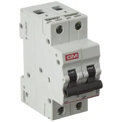 GM MCB 20A DOUBLE POLE 'C' TYPE
