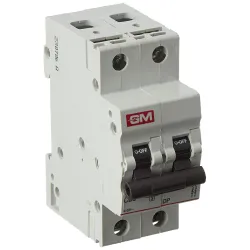 GM MCB 25A DOUBLE POLE C TYPE