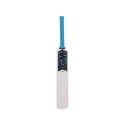 GM Neon Apex Kashmir Willow Cricket Bat (Wood)
