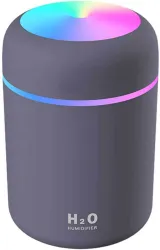 Gnanishwa Humidifier with Colorful Light