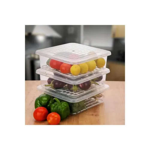 Image of GO STORE Fridge Storage Containers Pack of 2