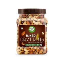 Go Vegan Healthy Nutmix 500gm