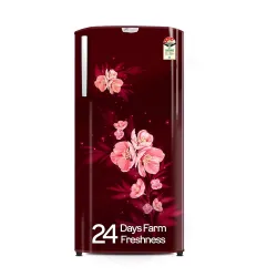 Godrej 180L 4 Star Direct Cool Single Door Refrigerator (RD EDGENEO 207D)
