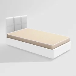 Godrej Dual Magic Plus Foam Mattress (72x30x5)