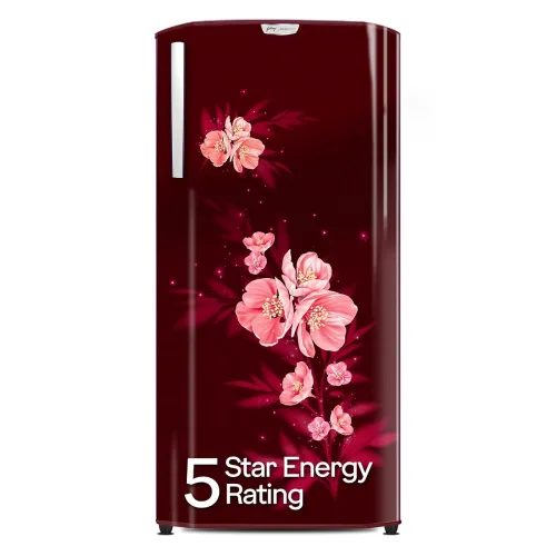 Image of Godrej RDEDGENEO207E 180 L 5 Star Refrigerator 