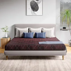 Interio by Godrej Insignia SP Queen Bed Foam Mattress