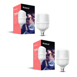 Goldmedal Thor 30W B22 Base LED Bulb (Pack of 2)