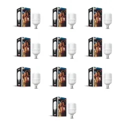 Goldmedal Thor 30W B22 Base LED Bulb