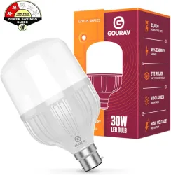 GOURAV 30 W Eye Safety Compliance Globe B22 LED Bulb (White)