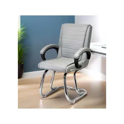 GOYALSON Cushioned Visitor/Study Chair (Grey, Chrome Frame)