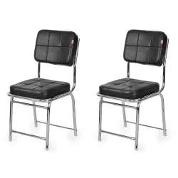 GOYALSON Stainless Steel Visitor Chair (Set of 2)