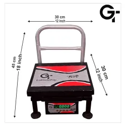 GRAMTECHNOLOGY 1 Pole Scale 100kg x 10gm 