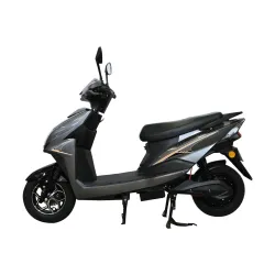 Green Invicta Low Speed Electric Scooter Non RTO 60KM Range Grey with Portable