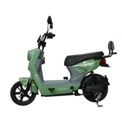 Green Sunny Electric Scooter Rechargeable Battery