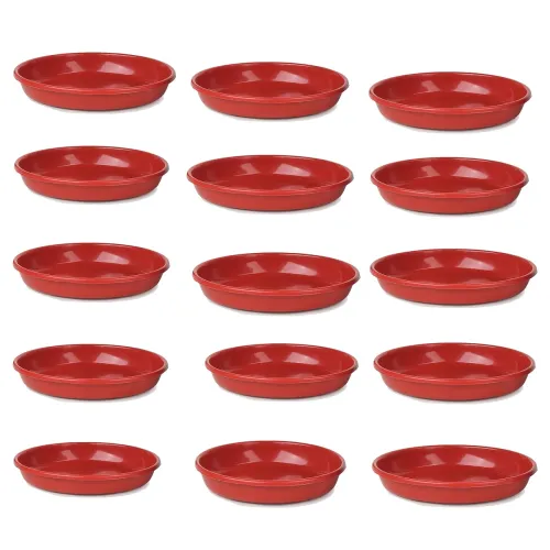 Image of GTB Plants Bottom Plate 