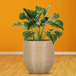 GTB Rectangle Pots for Plants