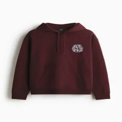 H&M Loose Fit Printed Hoodie