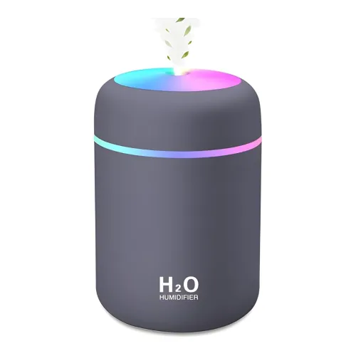 Image of H2O Portable Mini Room Humidifier Air Purifier