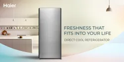 Haier 190 L Direct Cool Single Door 4 Star Refrigerator  with Fast Ice Making ( 2026 Model) (Brushline Silver, HED-204TD