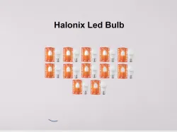HALONIX 10 W Basic Round B22 LED Bulb (White, Pack of 12)