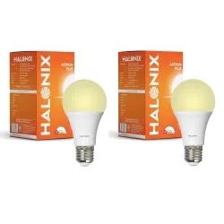 Halonix 2.9W LED Light Bulb | Yellow (3000K) |Pack of 2|Energy Efficient| 4kv