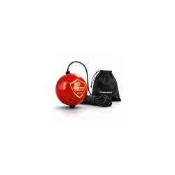 Hanging PVC Cricket Ball for Kids 