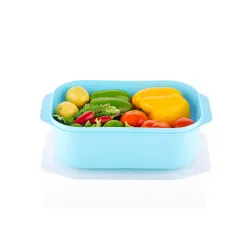 HAPPI Multipurpose Plastic Airtight Masala Box