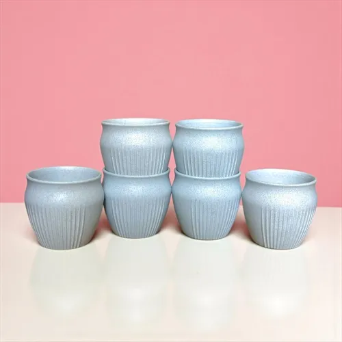 Image of Happy Cove Eco Friendly Cup Set of 6 for Tea