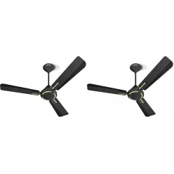 Havells 1200Mm Ambrose Es Ceiling Fan (Pack Of 2)