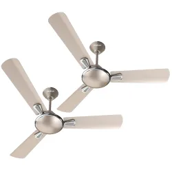 Havells 1200mm Festiva ES Ceiling Fan (Pack of 2, Gold Mist)
