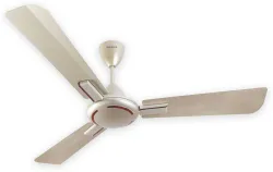 HAVELLS Ambrose 1200 mm 3 Blade Ceiling Fan
