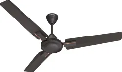 HAVELLS Ambrose Neo Ceiling Fan| High Speed, High Air Delivery| Strong & Powerful motor with 2 Year Warranty Anti Dust 1