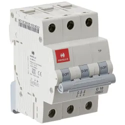 Havells DHMGCTPF010 PVC Plastic 10A MCB TP C Curve 