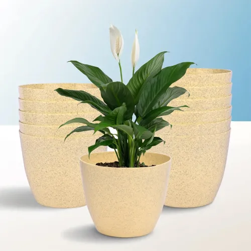Image of Heart Home Pack of 12 Flower Pot
