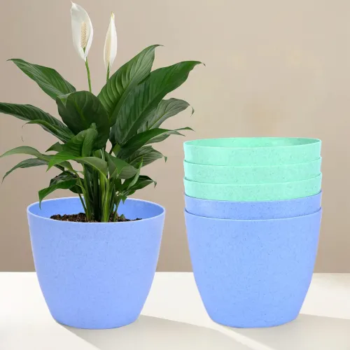 Image of Heart Home Pack of 6 Flower Pot | Flower Pot for Living Room-Office | 