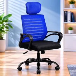 HIGHLIVING Premium Ergonomic High Back Office Mesh Chair