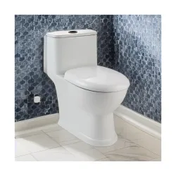 Hindware FLORA One-Piece Floor-Mounted Western Commode