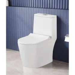 Hisre Premium Western Floor Toilet 