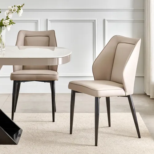 Image of Home Centre Marcello Metal Dining Chairs (Set of 2 )