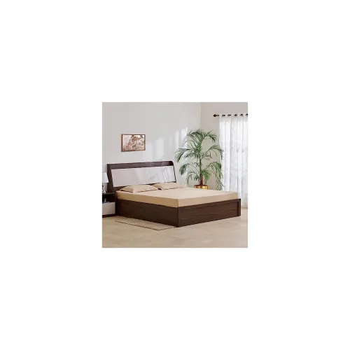 Image of Home Centre My Bed Tulip Queen Bed 