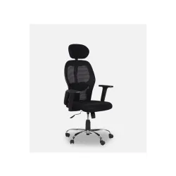HOME PERFECT Plastic Executive Ergonomic Office Chair