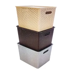 HomeStrap Rectangular Set Of 3 Large Plastic Storage Organizers/Baskets With Lid For Kitchen, Clothes, Multipurpose Vegetables, Toys, Books, Office, Stationery, Wardrobe(Biscuit, Grey, Brown...